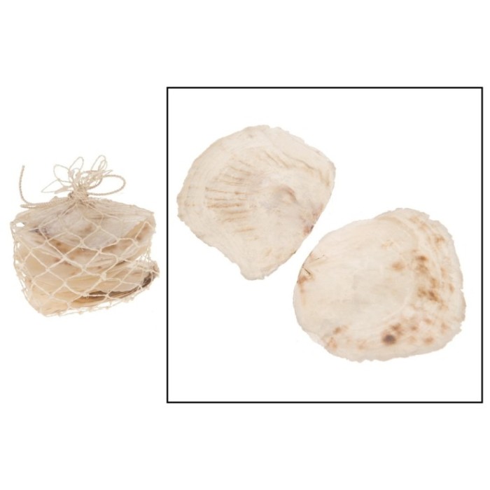 MAR, PLACUNA PLACENTA in net 220gr Natural