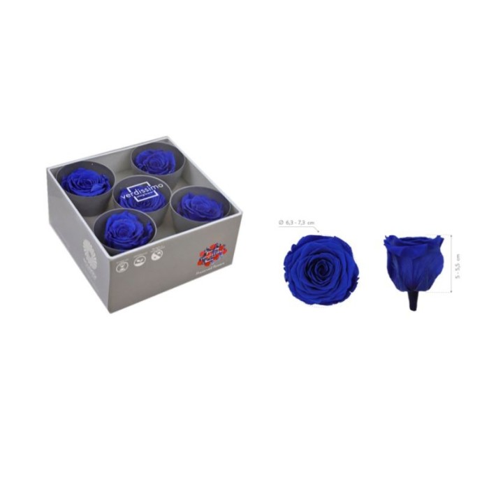 ROSA PRESERVADA SENSE TIJA BLAU FOSC CAIXA 5UNI