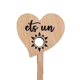 PICK ETS UN SOL 25cm 5U