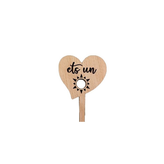 PICK ETS UN SOL 25cm 5U