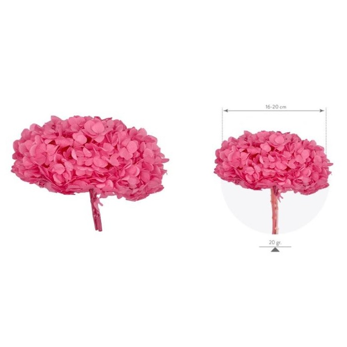 HORTENSIA PRESERVADA ROSA CANDY D15-20CM UNI
