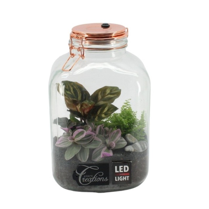 TERRARI PL MINI CON LED D17 H27 con baterias