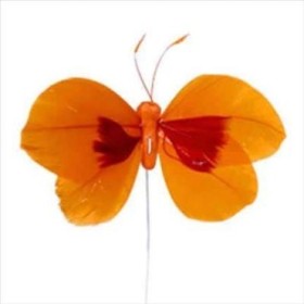 PICK MARIPOSA 8cm+12cm Plumas 48pcs Naranja