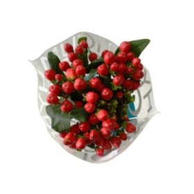 FLOR, HYPERICUM COCO TANGO 60cm. x10 tig vermell