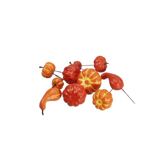 CARBASSES AMB FILFERRO 24uni mix