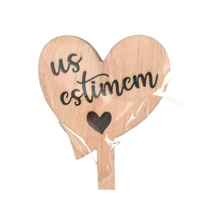 PICK US ESTIMEM h25cm 5u