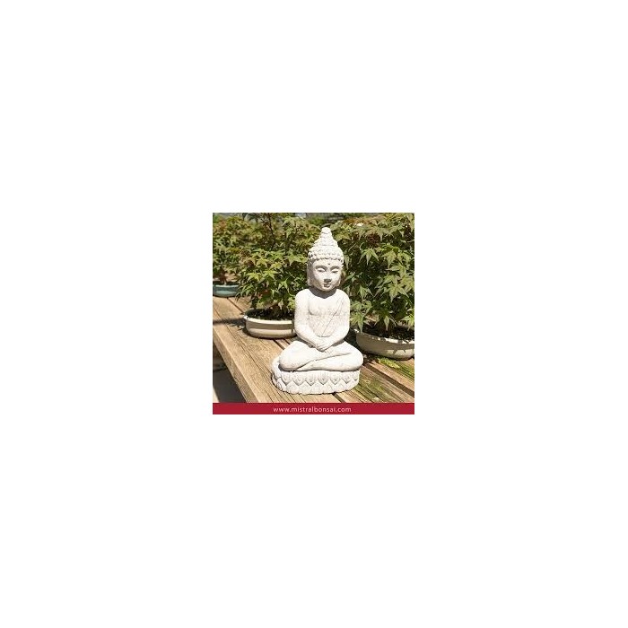 DHARMA BUDDHA MAXI 18x13x36 cm