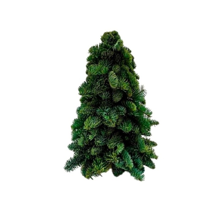 FLOR, ARBRE NOBILIS 40cm.