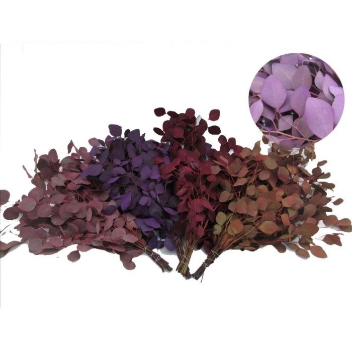 VERDES, POPULUS TEÑIDO