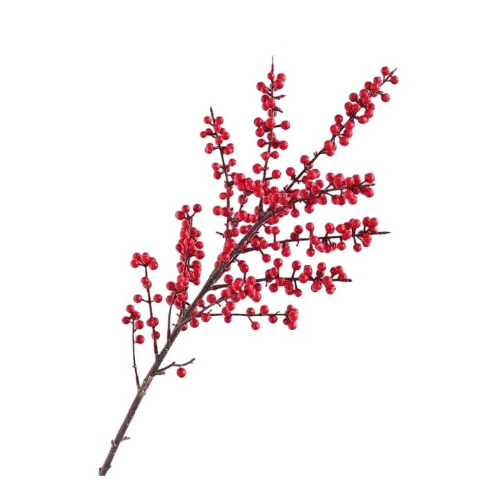 FLOR, ILEX VERTICILLATA 60cm. x10 tiges. SUPER