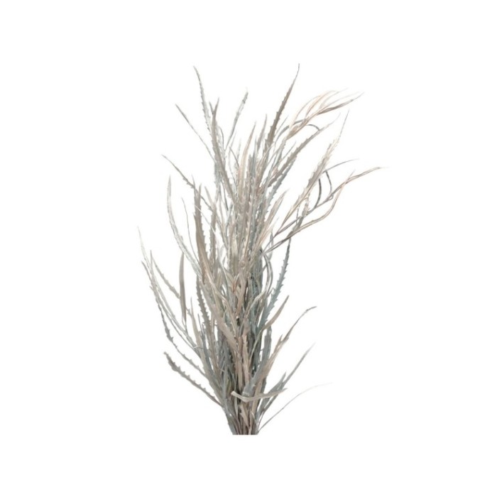 VERDS, GREVILLEA 80cm (blanca/oro)