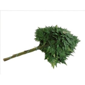 VERDS, LEATHER EXTRA