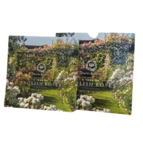 CALENDARIO PARED 2026