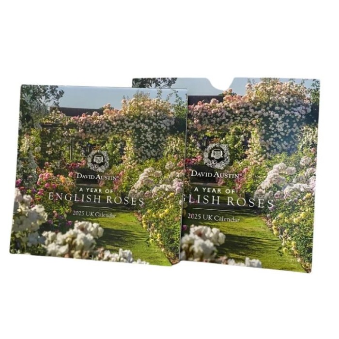 CALENDARIO PARED 2026