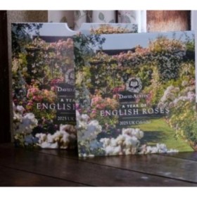 CALENDARIO PARED 2026