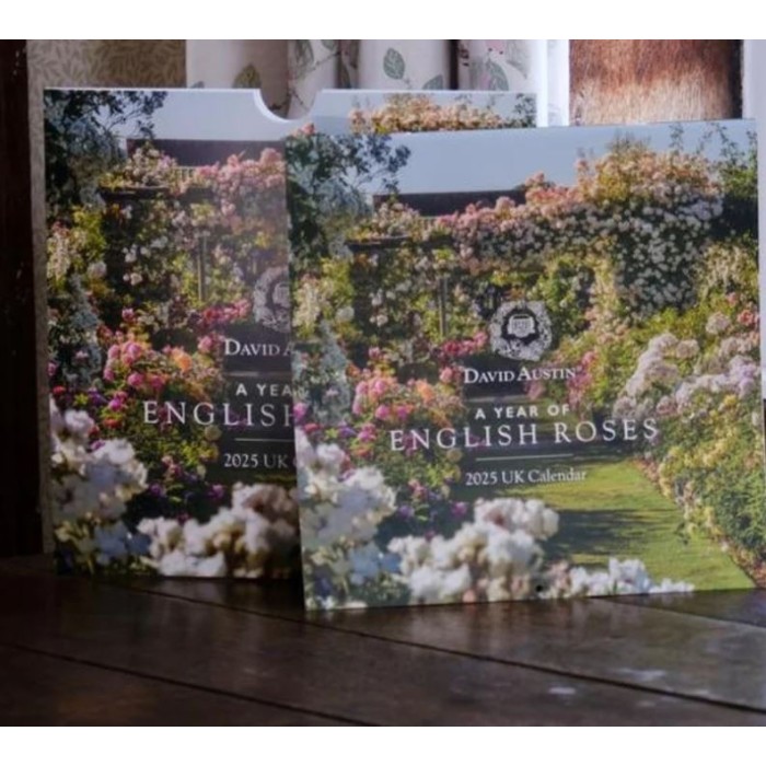 CALENDARI PARET 2026