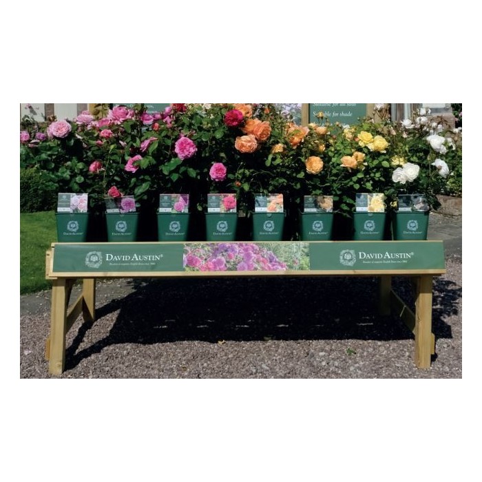 BED LABEL STRIP - BENCH BANNER