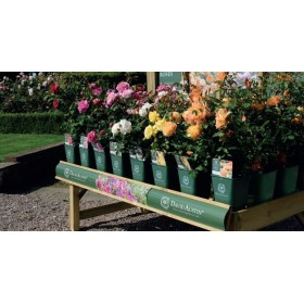 BED LABEL STRIP - BENCH BANNER