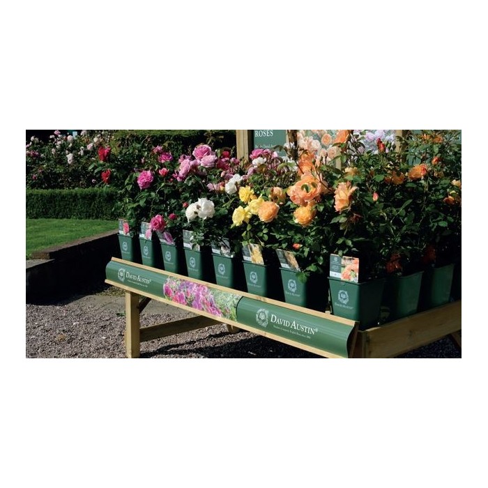 BED LABEL STRIP - BENCH BANNER