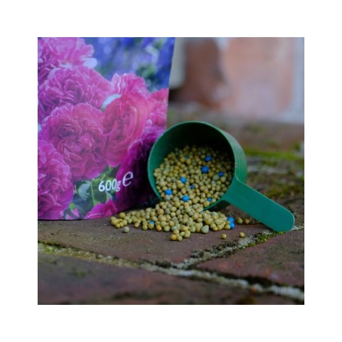 ROSE FOOD - 600gr - ADOB ESPECIAL DAVID AUSTIN -