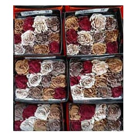 ROSA ECUADOR,  60cm. x25 RAINBOW TENYIDA