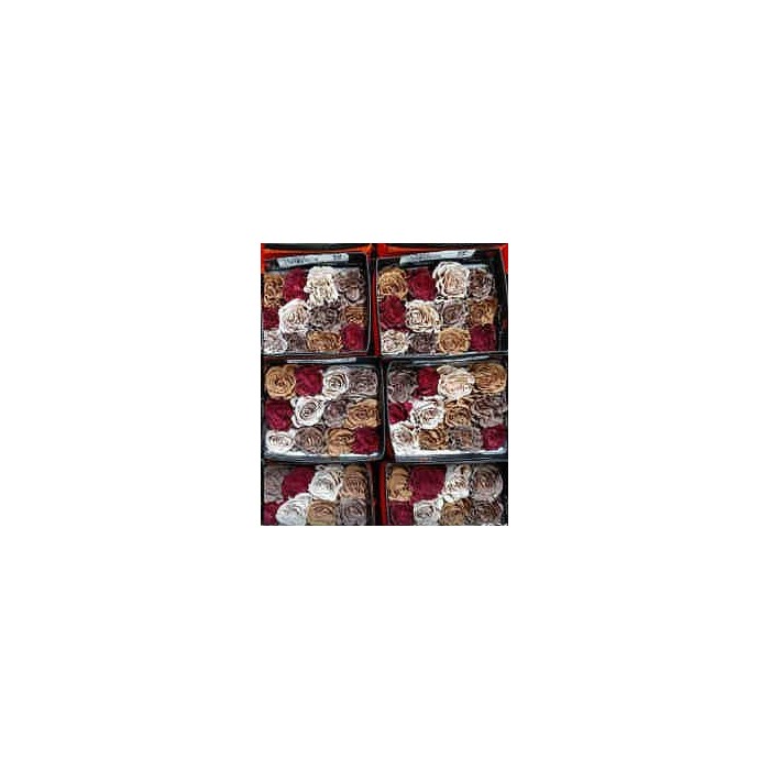 ROSA ECUADOR,  60cm. x25 RAINBOW TENYIDA