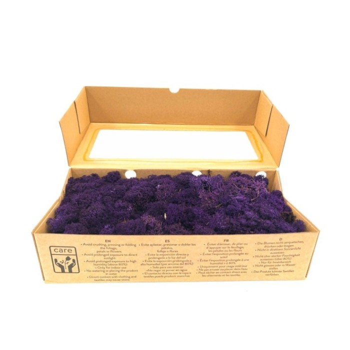 MOLSA PRESERVADA LILA 500gr