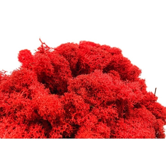 MOLSA PRESERVADA VERMELL 500gr