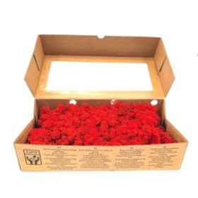 MUSGO PRESERVADO ROJO 500gr