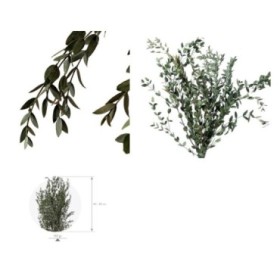 F.SECA, PARVIFOLIA VERDA 40/80