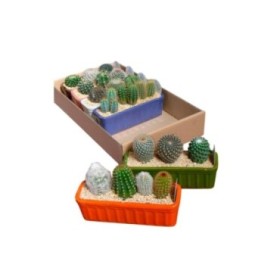 CACTUS COMPOSICION L25 JARDINERA ESMALTADA