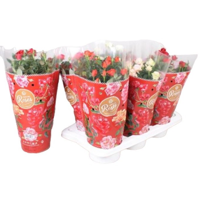 ROSER   MINI  M17  mix