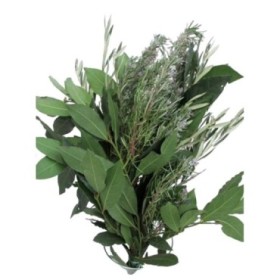 VERDS,PALMA LLAURER-OLIVERA-ROMANI