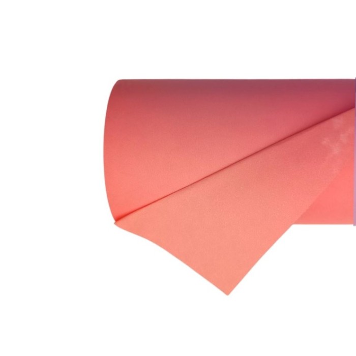 BOBINA CELULOSA SALMO ANTIHUMITAT 2CARES 70cmX50m