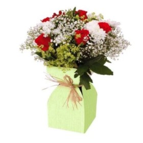 PORTABOUQUETS 12x12xH21cm VERD 20 UNI