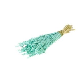 F.SECA, Haver (avena) blau aqua CRAFT