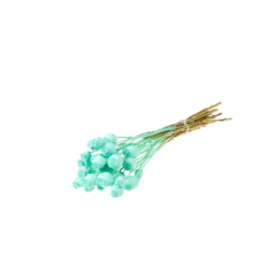 F.SECA, Papaver blau aqua CRAFT