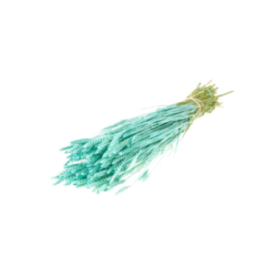 F.SECA, Tarwe blau aqua 200gr h60/70c