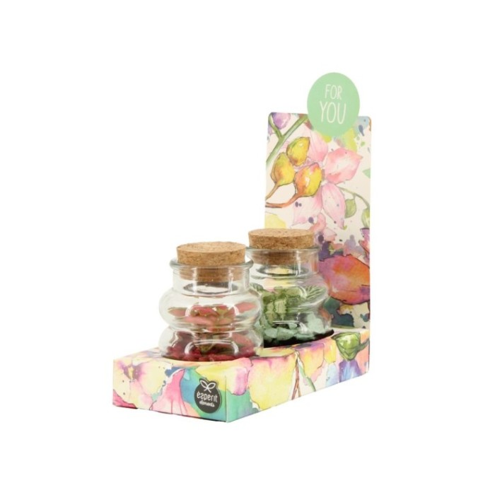 TERRARI PLANTA MINI D16 H26 (pack d 2)