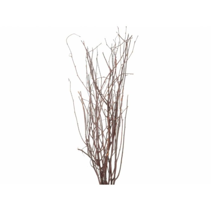 VERDS, SALIX 250CM 10 tiges.