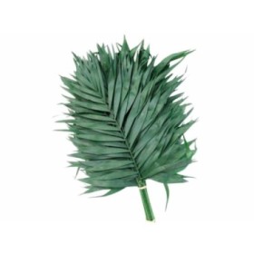 VERDES, CHICO JUMBO AZTEKA 65cm. (paq.x20)