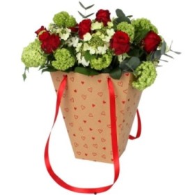 BOSSA CARTRO LOVE 24/24X13/13XH30 10U VERMELL