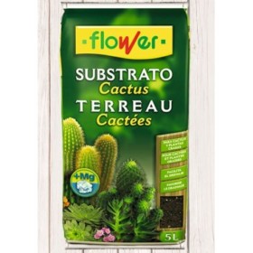 SUBSTRAT CACTUS      5L sac