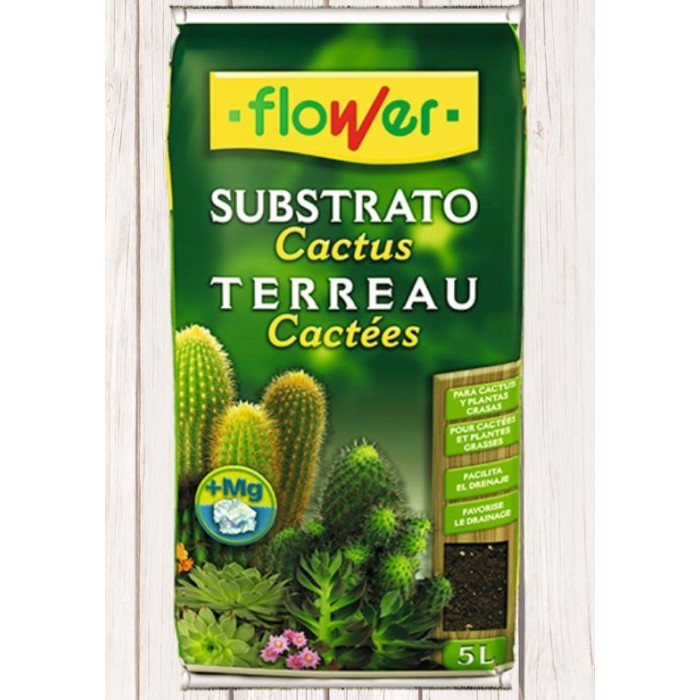SUBSTRAT CACTUS 5L sac