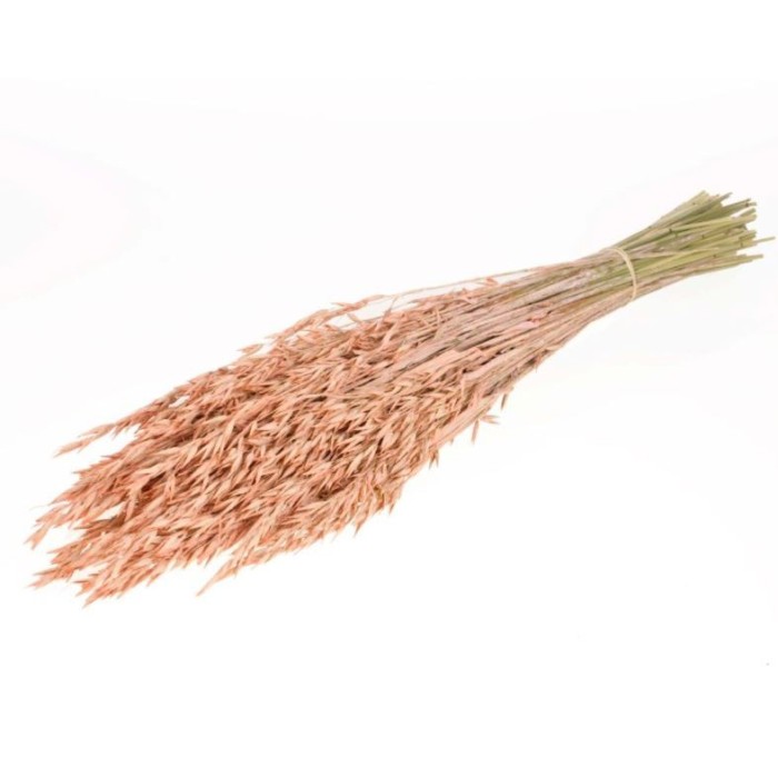 F.SECA, Haver (avena) coral palid CRAFT