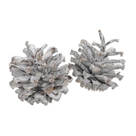 PINYES SILVESTRES BLANQUES 1KG XARXA