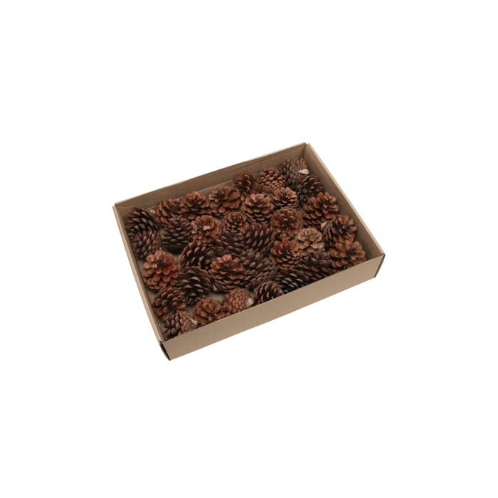 PIÑAS PEQUEÑAS 800gr CAJA natural