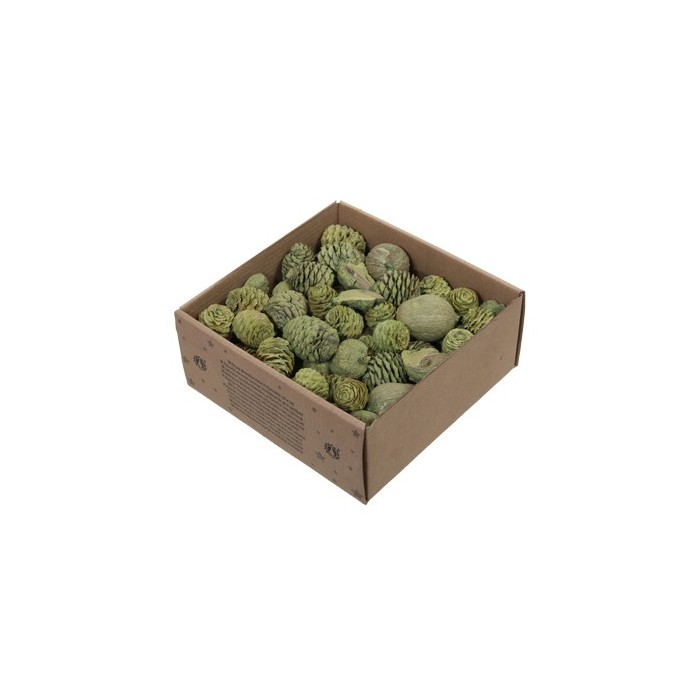 LEUCODENDRON MIX VERD CAIXA 640gr