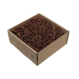 PINYES BEDOLL CAIXA 250gr natural