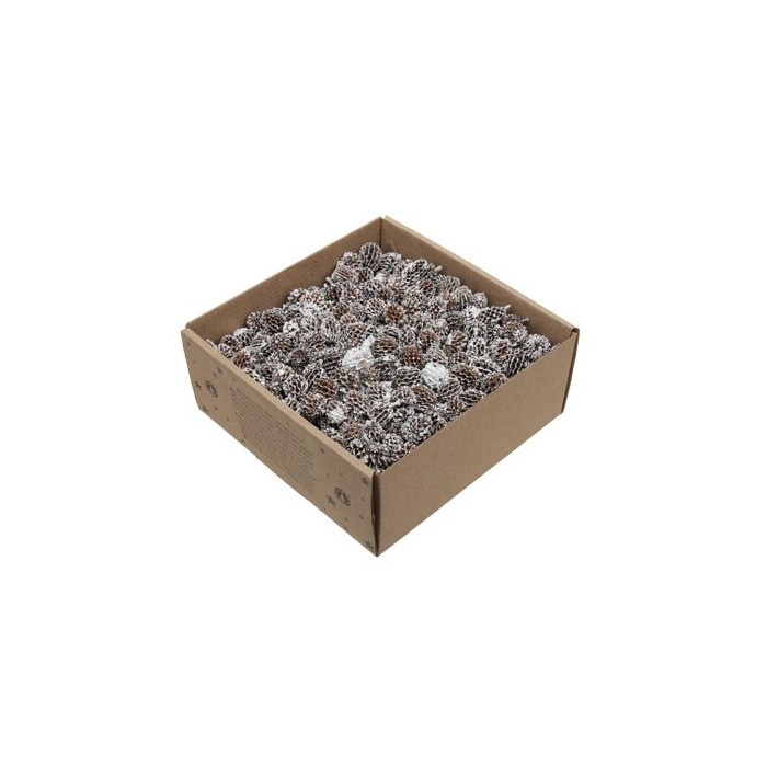 CASURINA PUNTES BLANQUES CAIXA 430 gr